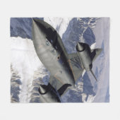 Hübscher Raum Fleecedecke (Vorderseite (Horizontal))