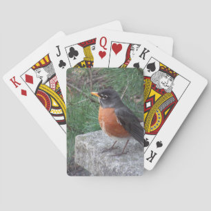 Hübscher Robin in Garden Spielkarten