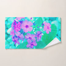 Hübscher Rosa Garten Phlox Blume Aquamarine