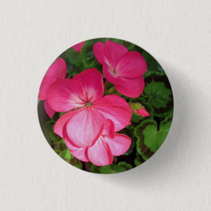 Hübscher Rosa Geranium-Foto Button