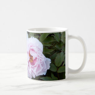 Hübscher Rosa Pfingstrosen-Becher Kaffeetasse