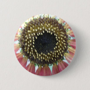 Hübscher rosa Sonnenblumenknopf Button