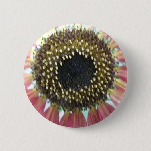 Hübscher rosa Sonnenblumenknopf Button (Vorderseite)