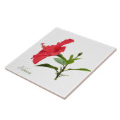 Hübscher roter Hibiskus auf weiß Fliese (Seite)