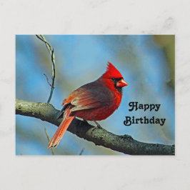 Hübscher Roter Kardinal Foto Geburtstag Postkarte