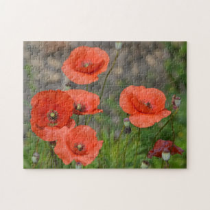 Hübscher Roter Mohn Puzzle