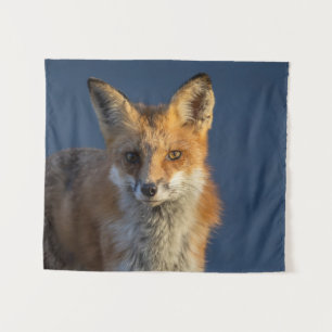 Hübscher Rotfuchs  Wandteppich