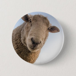 Hübscher Schafselfie Button