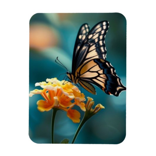 Hübscher Schmetterling auf einer Blume Magnet (Vertikal)