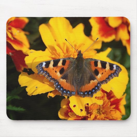 Hübscher Schmetterling Mousepad (Vorne)