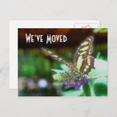 Hübscher Schmetterling Neue Adresse Art Postkarte (Vorne/Hinten)