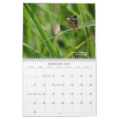 Hübscher Schmetterlingskalender Kalender (Feb 2027)