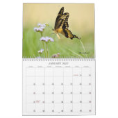 Hübscher Schmetterlingskalender Kalender (Jan 2027)