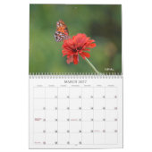 Hübscher Schmetterlingskalender Kalender (Mär 2027)