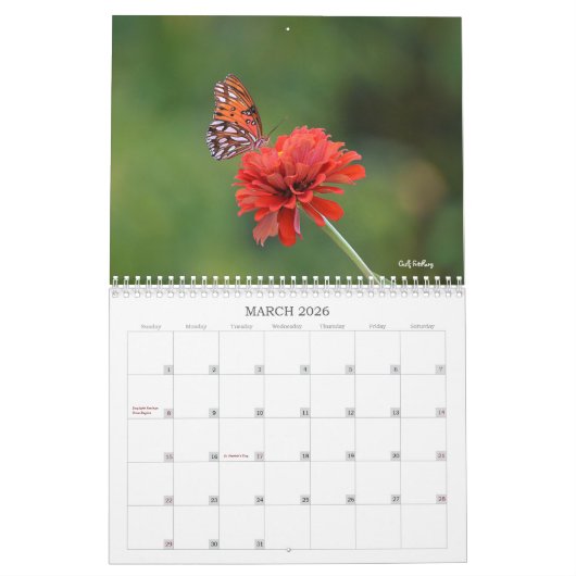 Hübscher Schmetterlingskalender Kalender (Mär 2026)