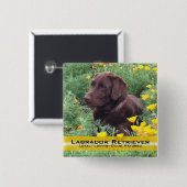 Hübscher Schokoladen-Labrador im Button (Vorne & Hinten)