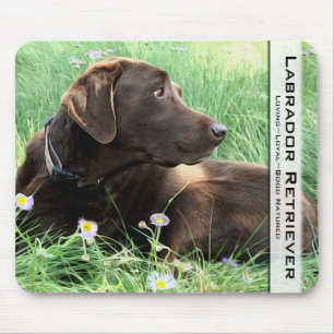 Hübscher Schokoladen-Labrador retriever-Schoßhun Mousepad