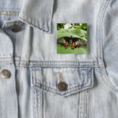 Hübscher Schwarz-Rot-Gold-Schmetterling-Button Button (Beispiel)