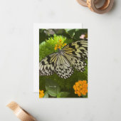 Hübscher Schwarz-Weiß-Schmetterling Mitteilungskarte (Vorderseite/Rückseite Beispiel)