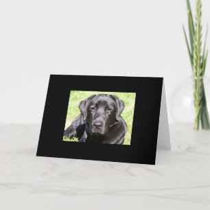 Hübscher schwarzer Labrador Karte