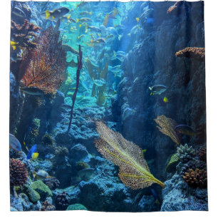 Hübscher Seeverkehr Duschvorhang