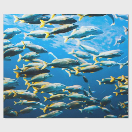 Hübscher Seeverkehr Geschenkpapier (Flach)