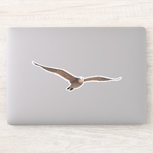 Hübscher Seevogelmöwe Aufkleber (Computer)