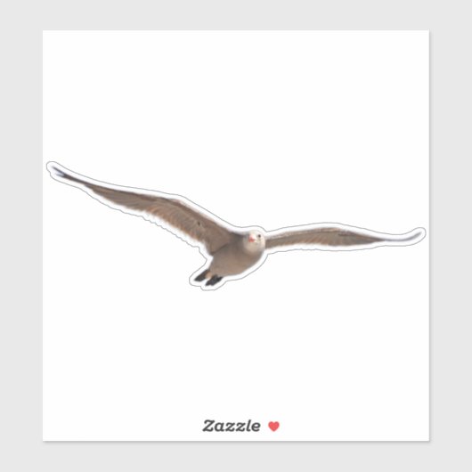 Hübscher Seevogelmöwe Aufkleber (Blatt)