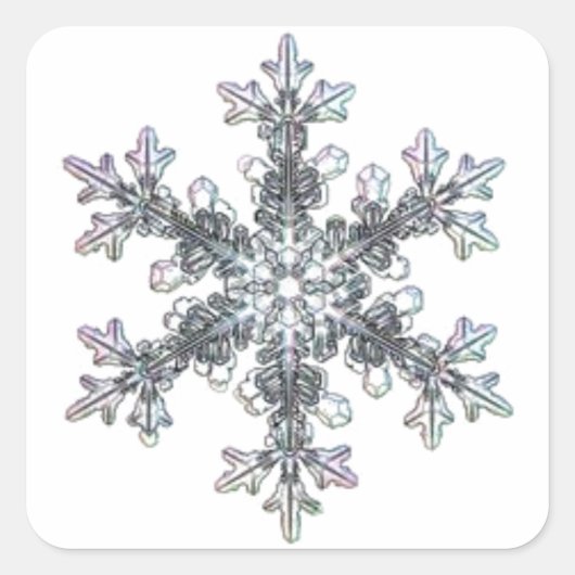 Hübscher Single Schneeflocke Quadratischer Aufkleber (Vorderseite)
