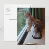 Hübscher Tag am Fenster Postkarte (Vorne/Hinten)
