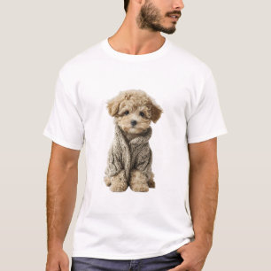 Hübscher Toy Poodle-Welpe in kuscheligem gestrickt T-Shirt