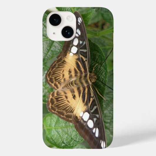 Hübscher Tropenschmetterling Case-Mate iPhone Hülle (Rückseite)