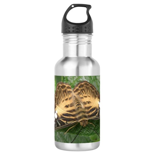Hübscher Tropenschmetterling Edelstahlflasche (Vorderseite)