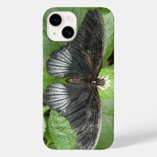Hübscher Tropenschmetterling und Blume Case-Mate iPhone Hülle (Rückseite)