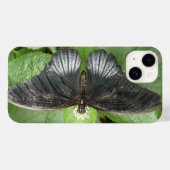 Hübscher Tropenschmetterling und Blume Case-Mate iPhone Hülle (Rückseite (Horizontal))
