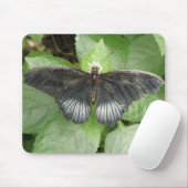 Hübscher Tropenschmetterling und Blume Mousepad (Mit Mouse)