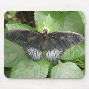 Hübscher Tropenschmetterling und Blume Mousepad