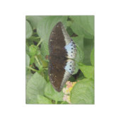 Hübscher Tropenschmetterlingskommentator Notizblock (Rotiert)