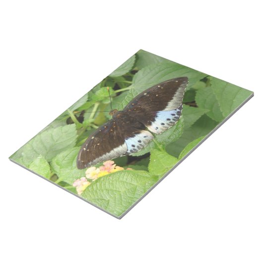 Hübscher Tropenschmetterlingskommentator Notizblock (angewinkelt)