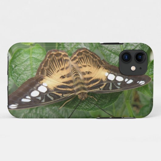 Hübscher Tropical Clipper Butterfly iPhone Case (Rückseite (Horizontal))