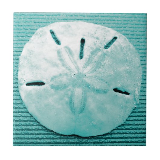 Hübscher Türkis-Sand-Dollar Fliese (Vorderseite)
