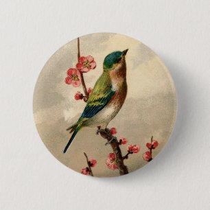 Hübscher Vintage-Vogel Button