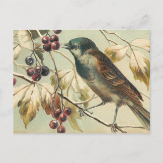 Hübscher Vintage-Vogel Postkarte