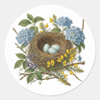 Hübscher Vintage-Vogelnest-Aufkleber Runder Aufkleber