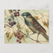 Hübscher Vintager Bird Postkarte (Vorderseite)