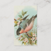 Hübscher Vintager Bird Visitenkarte (Rückseite)