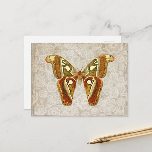 Hübscher Vintager Moth Botanical Postkarte (Vorderseite/Rückseite Beispiel)