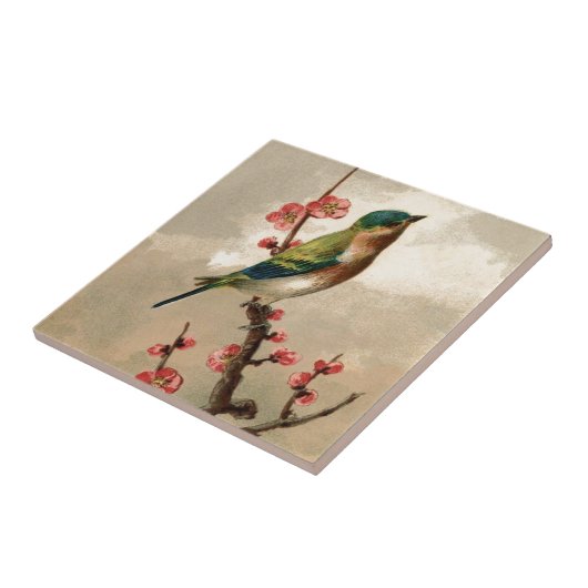 Hübscher Vintager Vogel Fliese (Seite)