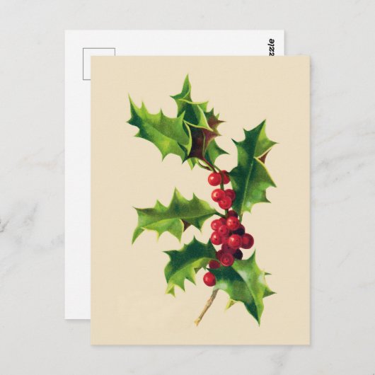 Hübscher Vintager Zweig Postkarte (Vorne/Hinten)