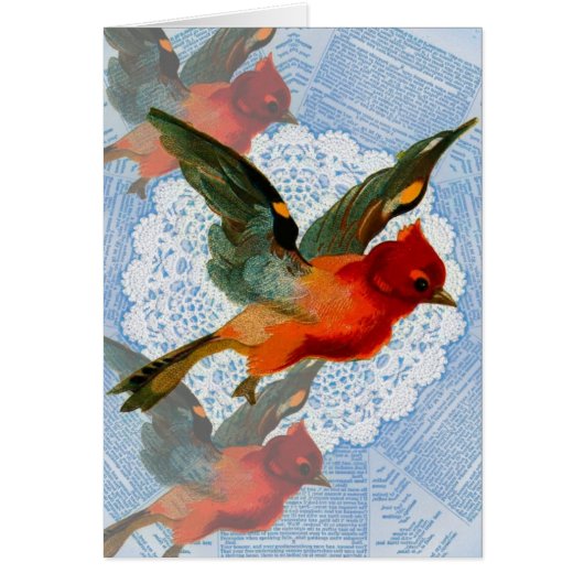Hübscher Vogel (Vorne)
